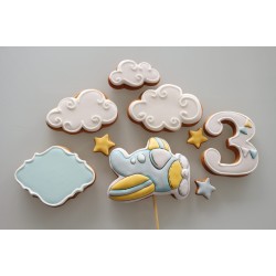 Set avion cu cifra si placuta